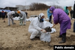 Волонтеры собирают мазут лопатами, Краснодарский край