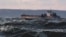 Russia -- Ships in the stormy waters not far from Russian port of Caucasus, 11Nov2007