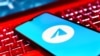 На сайте Роскомнадзора появилась заявка Telegram на открытие в РФ филиала по закону о "приземлении"