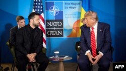 Владимир Зеленский и Дональд Трамп 